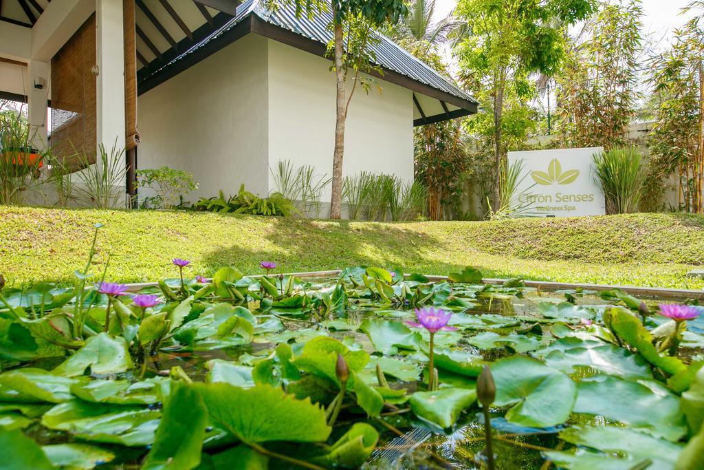 Citrus Waskaduwa Otel Bentota Dış mekan fotoğraf